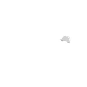 Disensa